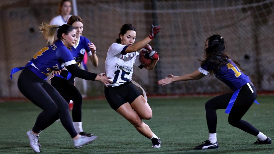 Tek federasyonda “olimpik” dört branş